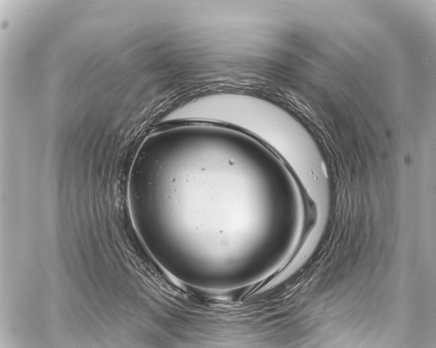 X0000059060317200510101055