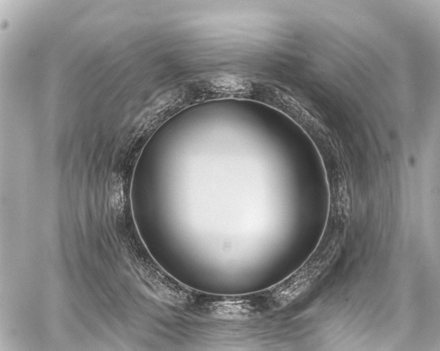 X0000059060320200510101055