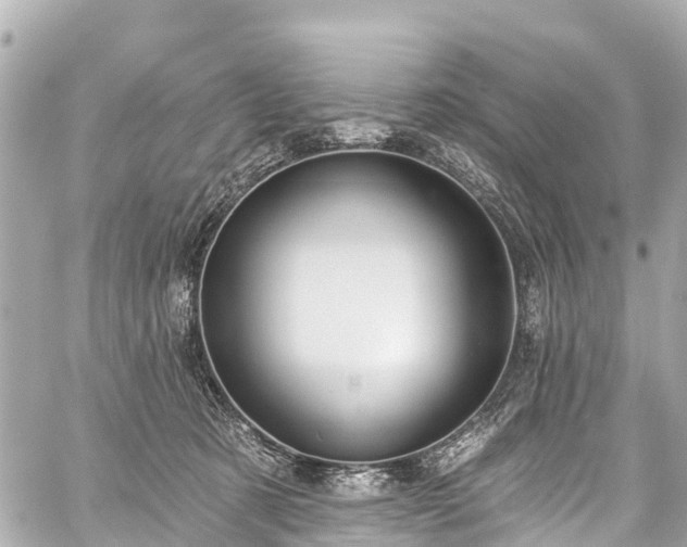 X0000059060321200510101055