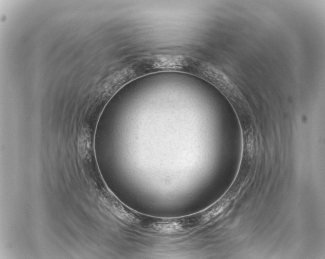 X0000059060322200510101055