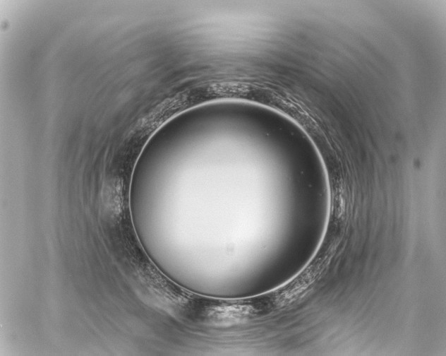 X0000059060323200510101055