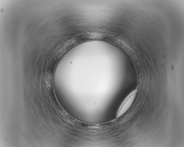 X0000059060325200510101055