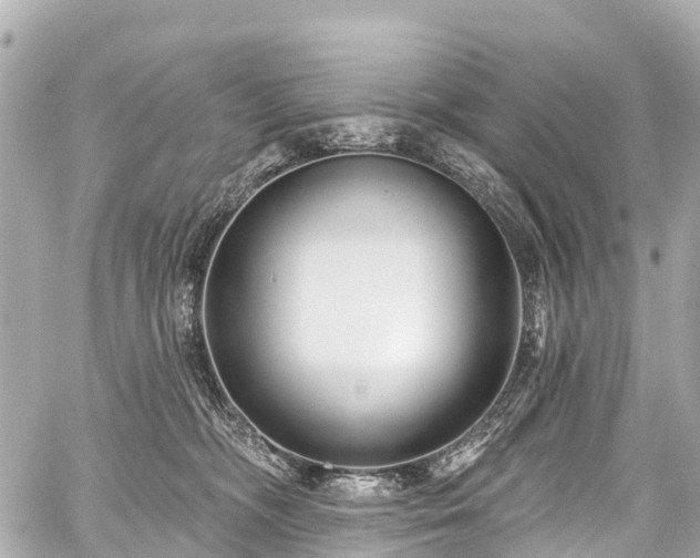 X0000059060326200510101055