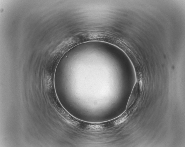 X0000059060327200510101055