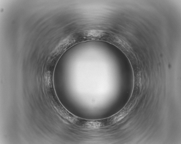 X0000059060328200510101055