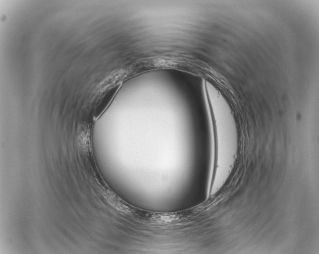 X0000059060329200510101055