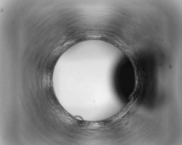 X0000059060330200510101055