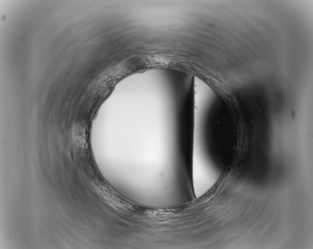 X0000059060331200510101055