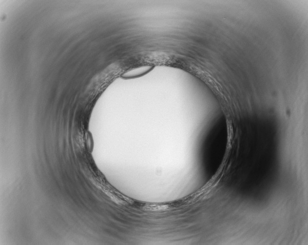 X0000059060334200510101055