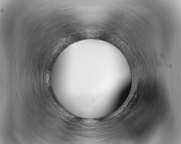 X0000059060336200510101055