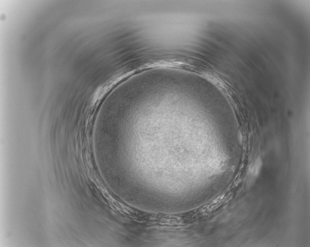 X0000059060337200510101054