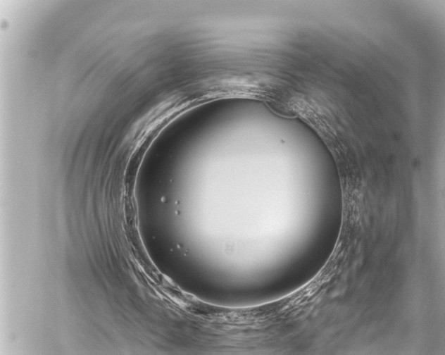 X0000059060338200510101054