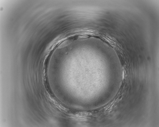 X0000059060339200510101054