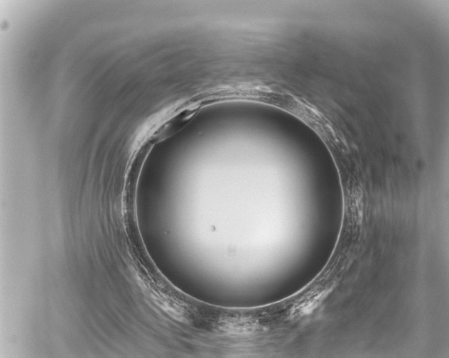 X0000059060340200510101054