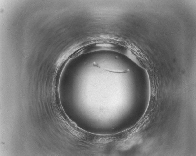 X0000059060341200510101054