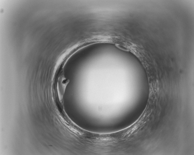 X0000059060342200510101054