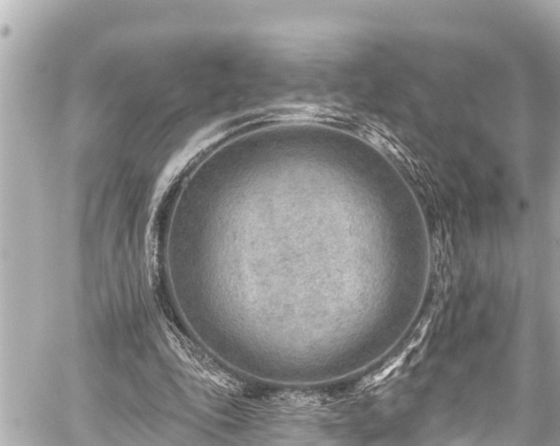 X0000059060343200510101054