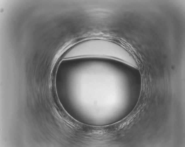 X0000059060344200510101054