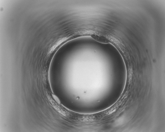 X0000059060345200510101054