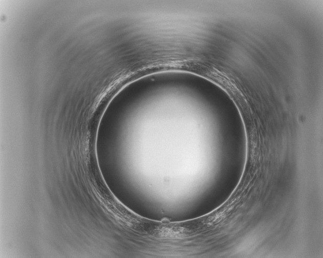 X0000059060346200510101054