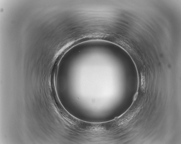 X0000059060348200510101054