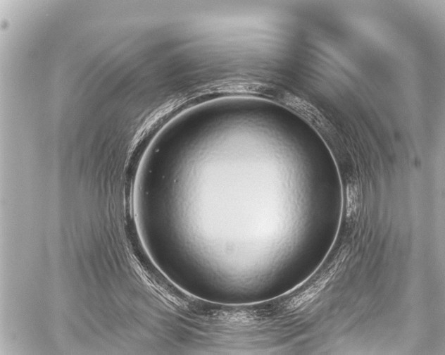 X0000059060349200510101054