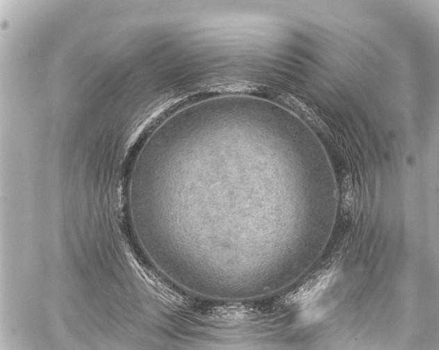 X0000059060351200510101054