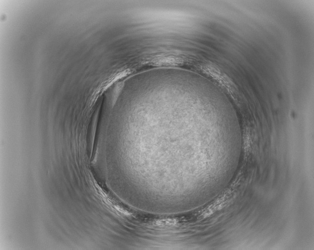 X0000059060353200510101054