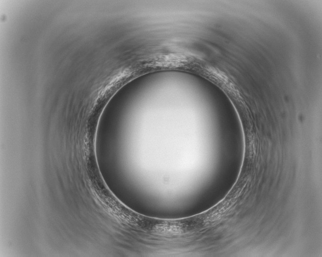 X0000059060354200510101054