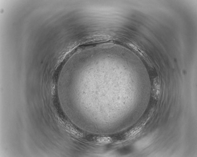 X0000059060355200510101054