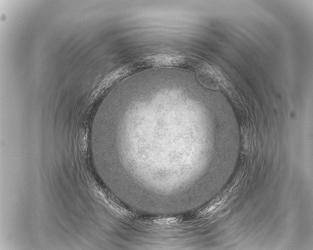 X0000059060357200510101054