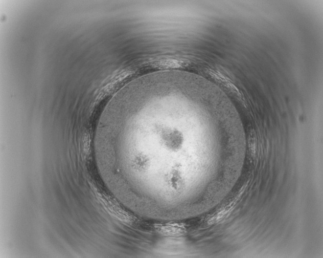 X0000059060359200510101055