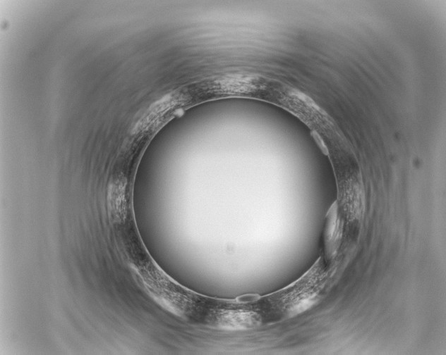 X0000059060360200510101055