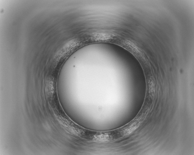 X0000059060362200510101055