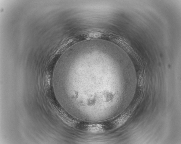 X0000059060363200510101055