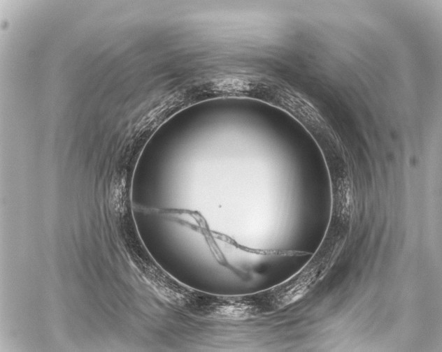 X0000059060364200510101055