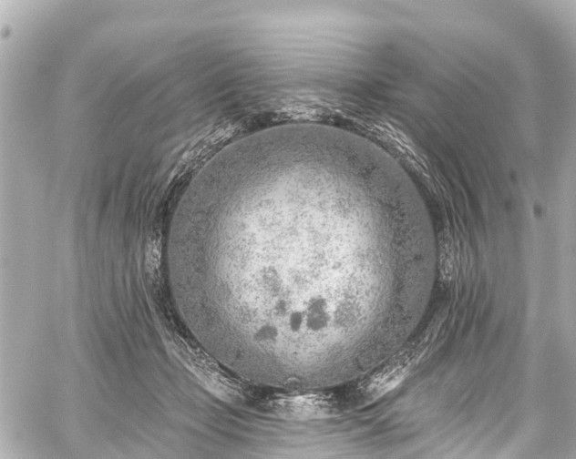 X0000059060365200510101055