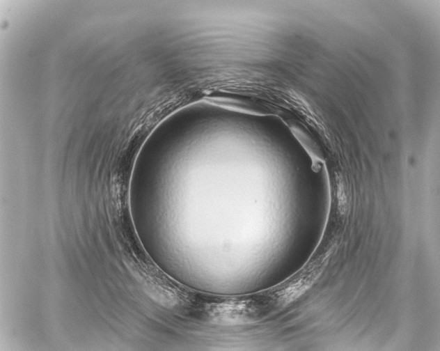 X0000059060366200510101055