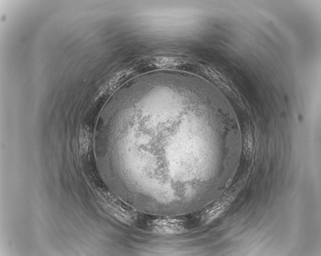 X0000059060367200510101055