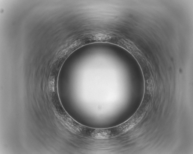 X0000059060368200510101055