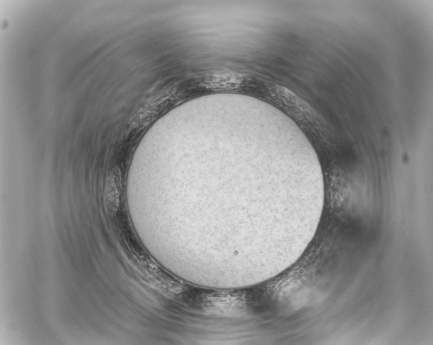 X0000059060370200510101055