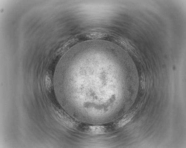 X0000059060371200510101055