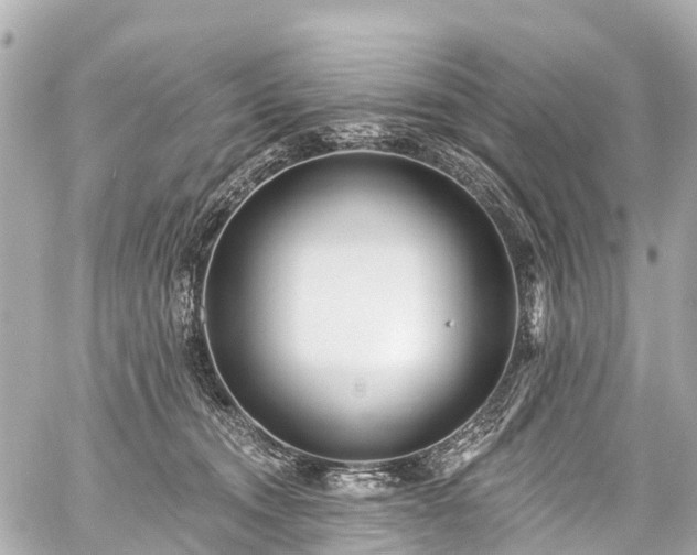 X0000059060372200510101055