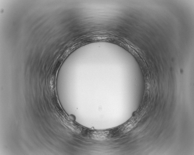 X0000059060373200510101055