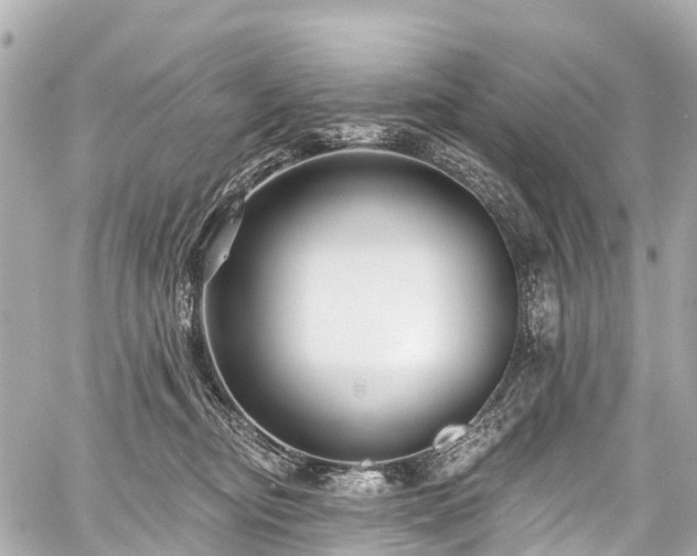 X0000059060374200510101055