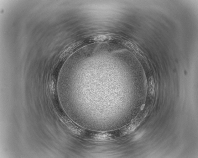 X0000059060375200510101055