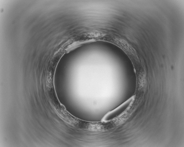 X0000059060376200510101055