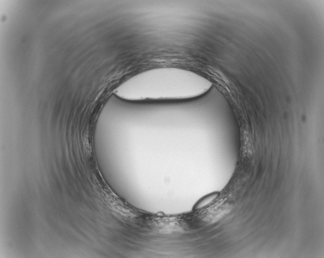 X0000059060377200510101055