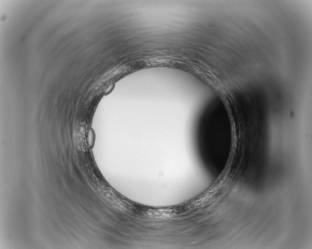 X0000059060378200510101055