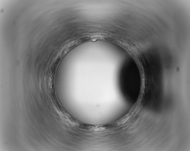 X0000059060379200510101055